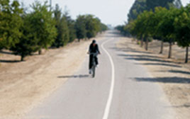 trail